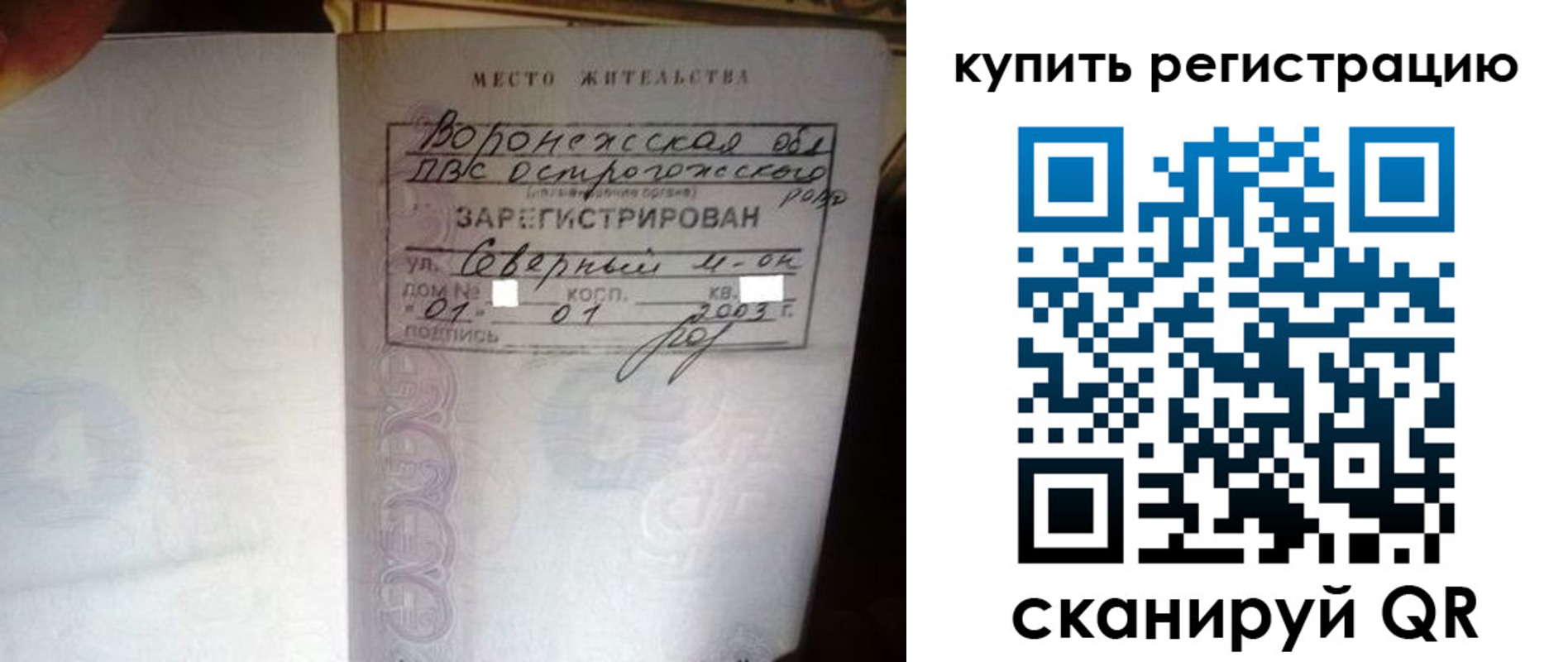 прописка поиск в Павлово